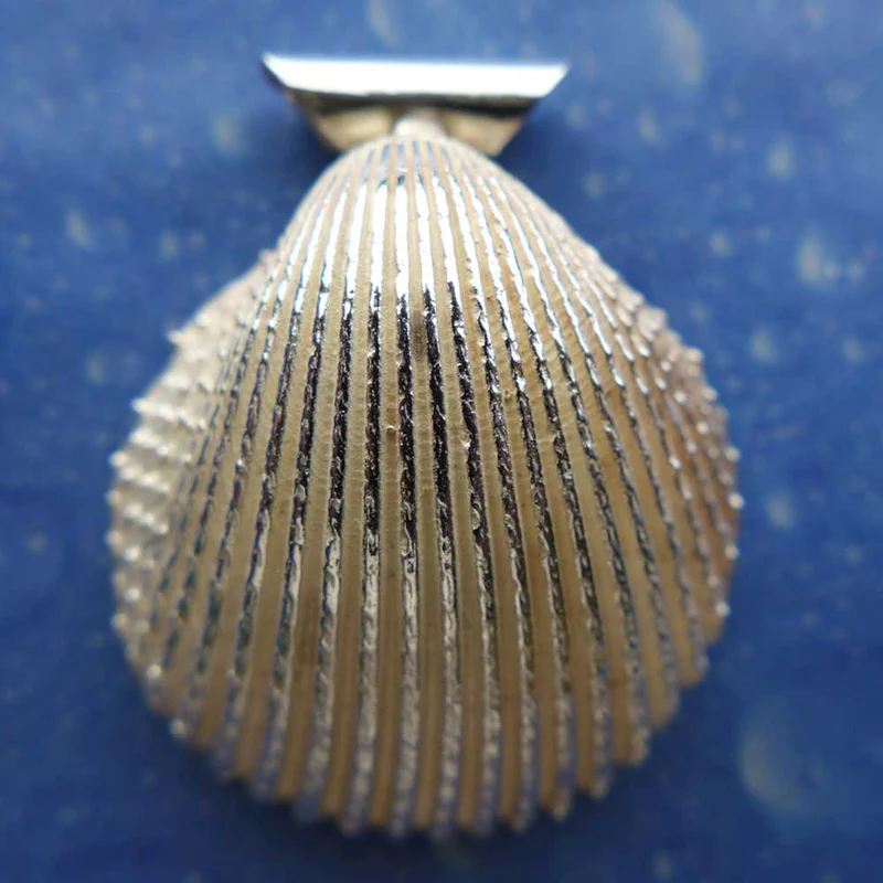 Herzmuschel Silber Schmuck Anhänger m