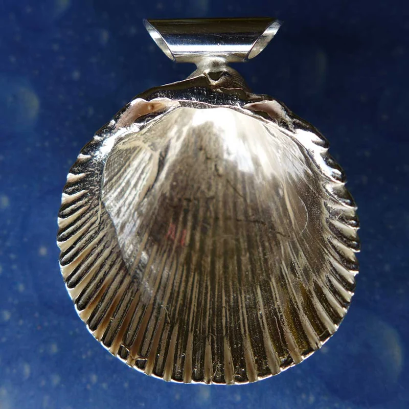 Herzmuschel Silber Schmuck Anhänger m
