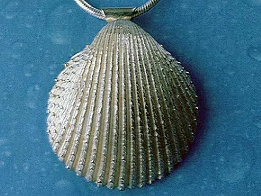 Herzmuschel Silber Schmuck Anhänger m