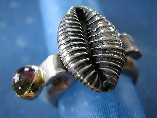 Kaurischnecke Turmalin bicolor Ring
