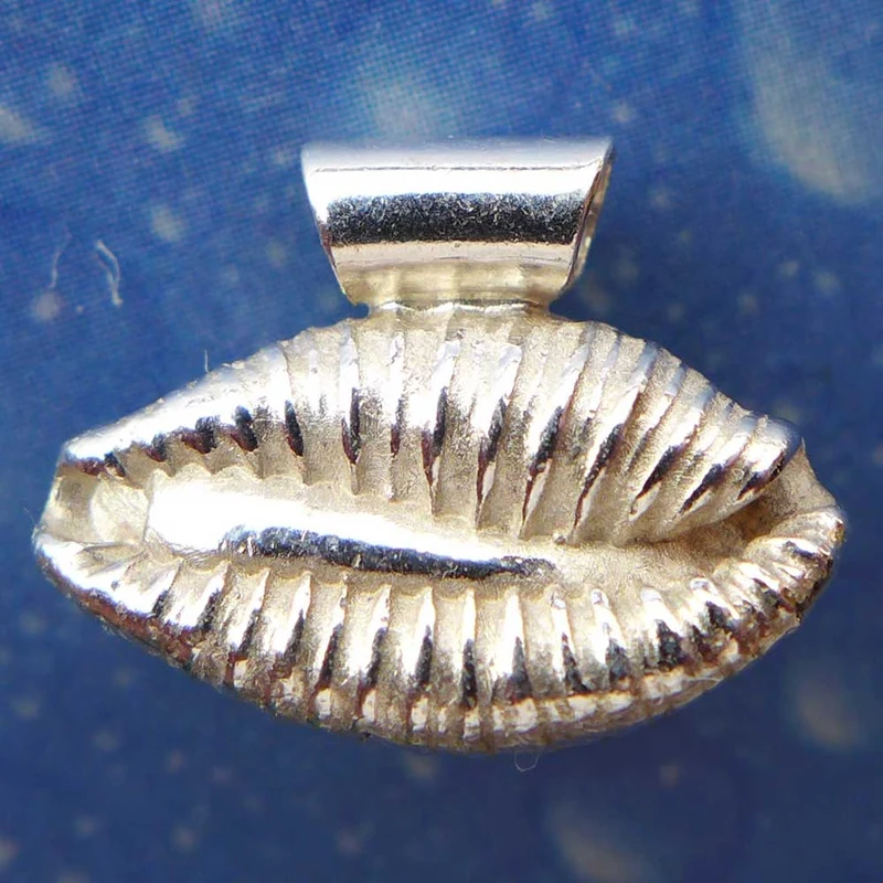 Kaurischnecke Silber Anhänger s