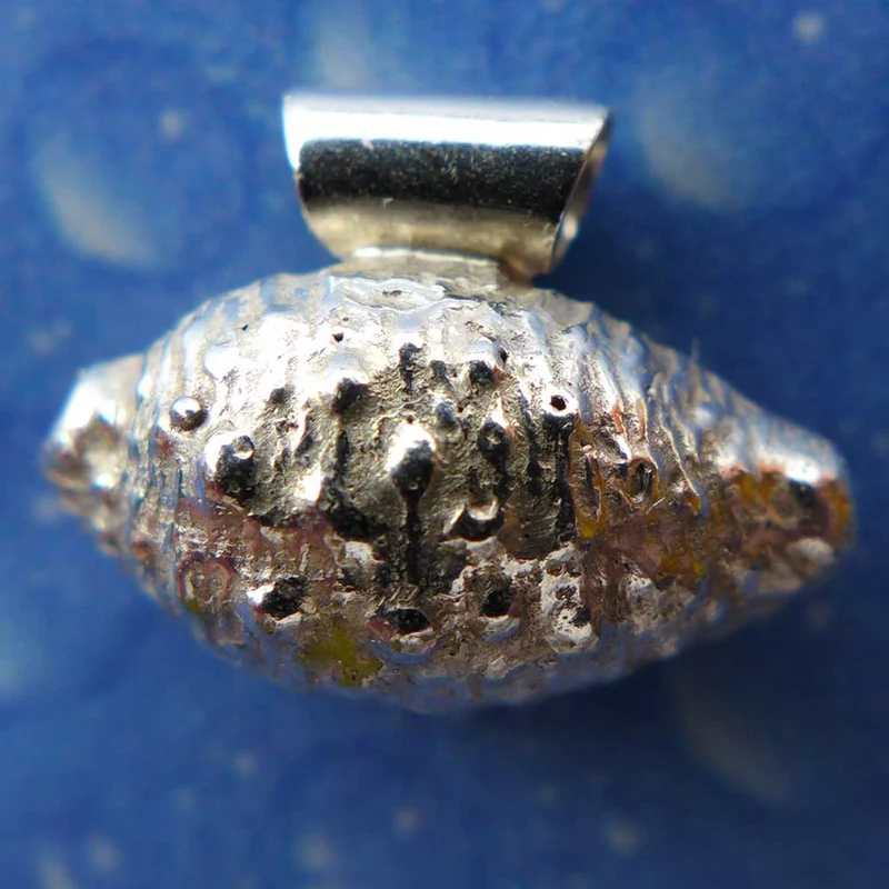 Kaurischnecke Silber Anhänger s