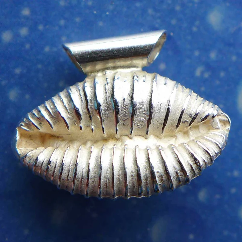 Kauri Muschel Silber Schnecke Anhänger m