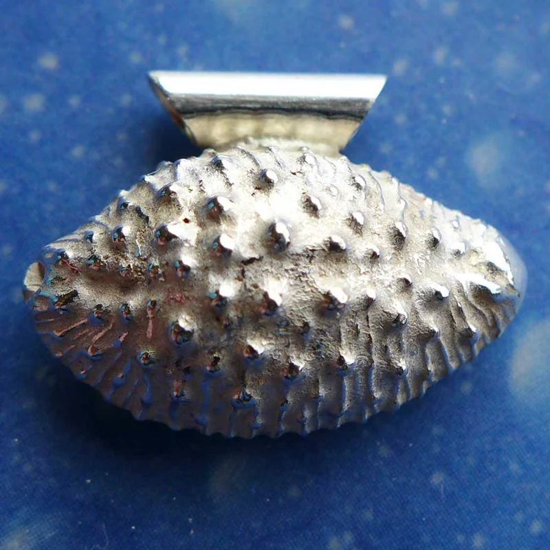 Kauri Muschel Silber Schnecke Anhänger m