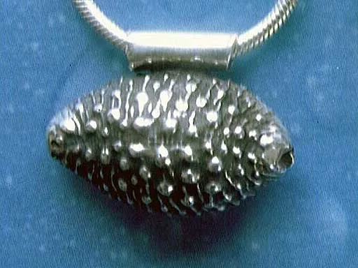 Kauri Muschel Silber Schnecke Anhänger m