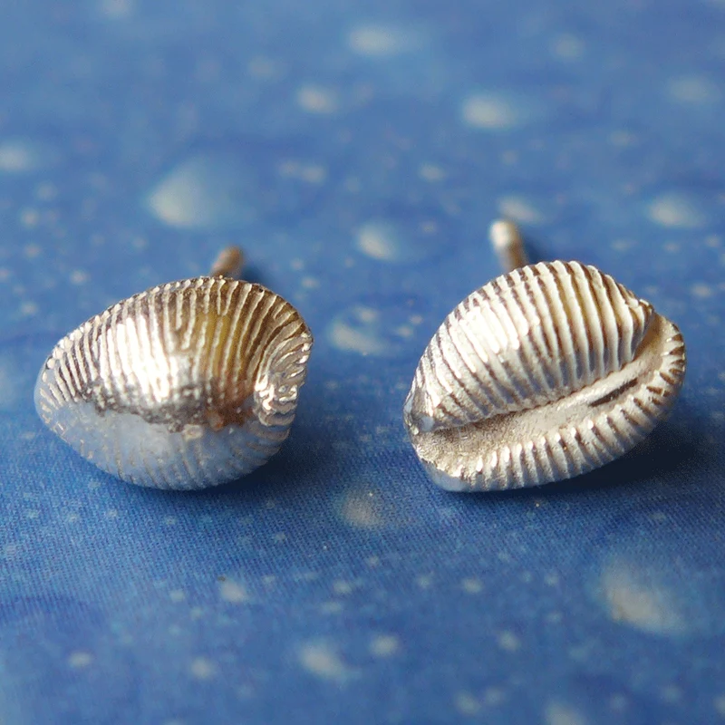 Kauri Muschel Ohrstecker Silber Schnecke