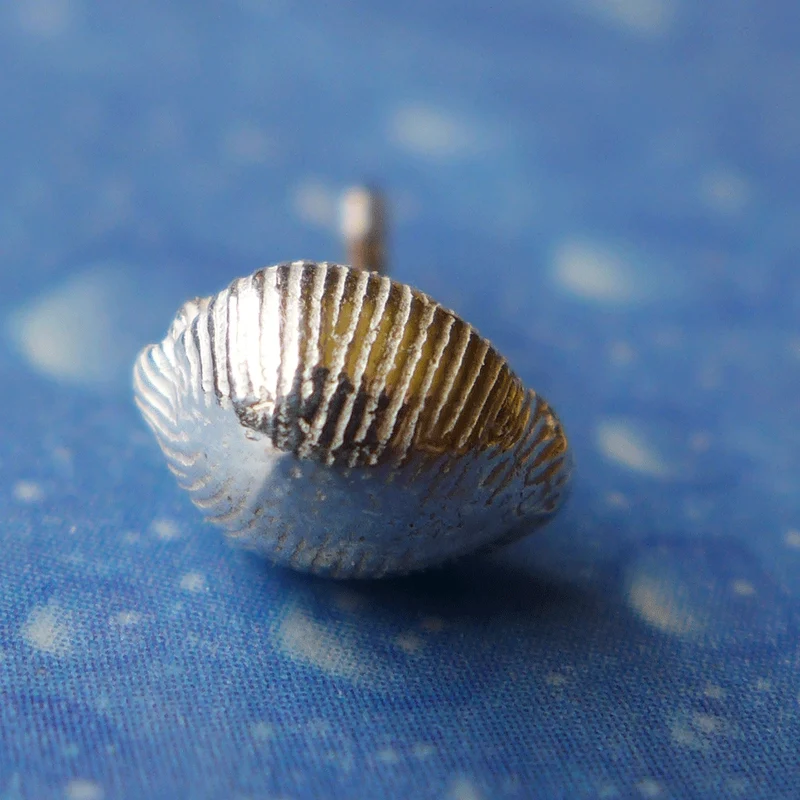 Kauri Muschel Ohrstecker Silber Schnecke