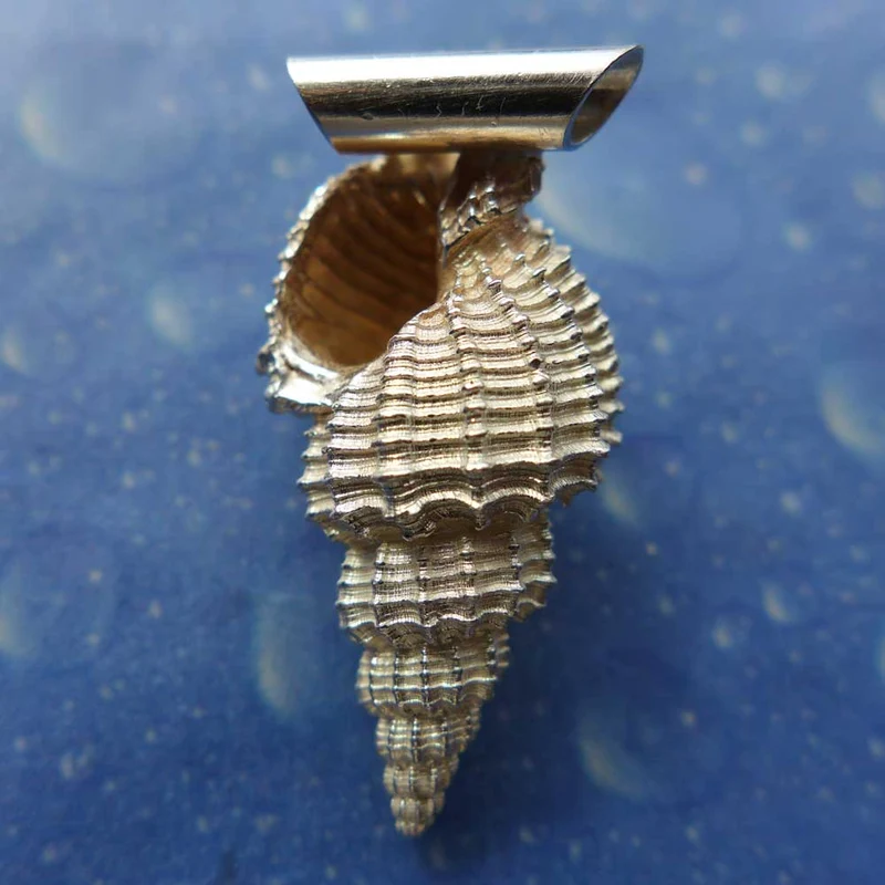 Maritimer Schmuck Dornen Schnecke l