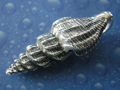 Maritimer Schmuck Bandschnecke Anhänger