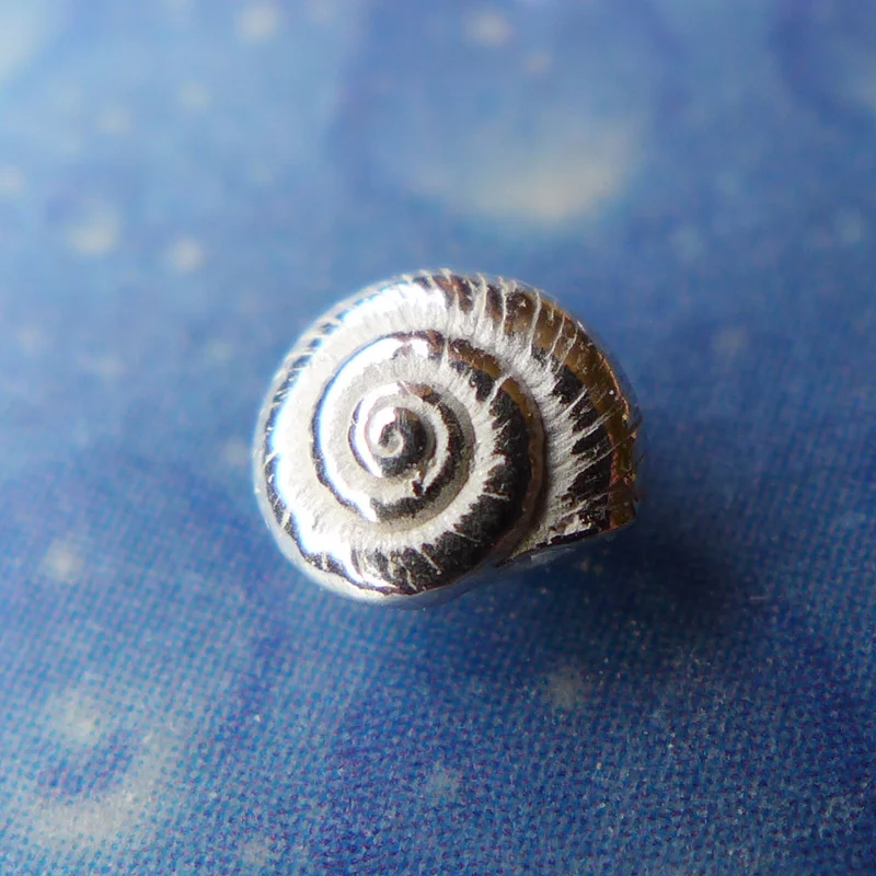 Maritime Ohrstecker Silberschmuck Knopfschnecke xxxs