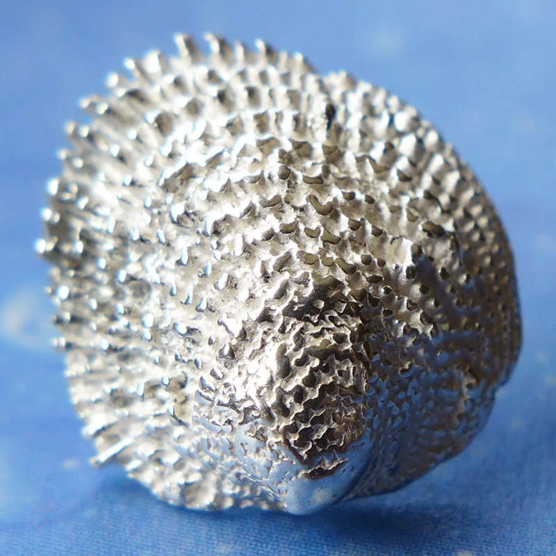 Maritime Ohrstecker Katzenzunge