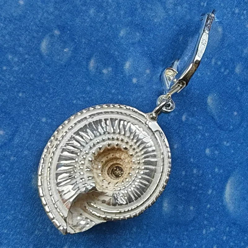 Maritime Ohrringe Sonnenuhrschnecke