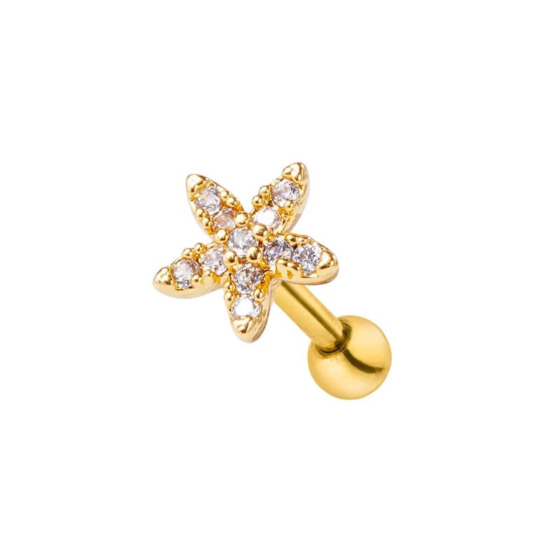 Pave Star Ohr Piercing 18K Vergoldet