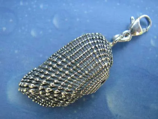 Kahnmuschel Arche medium Charms mit Karabiner