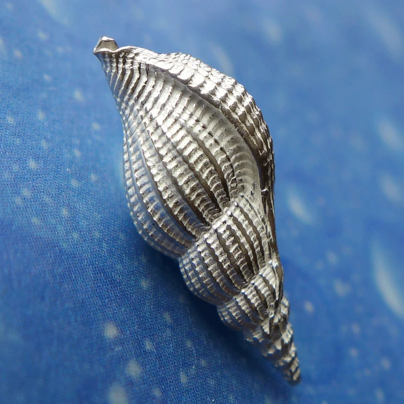 Inselschmuck Schnabelschnecke Ohrstecker xs