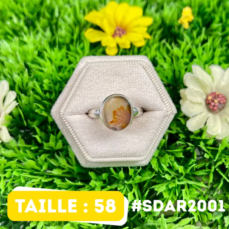 Dendritischer Achatring #SDAR2001