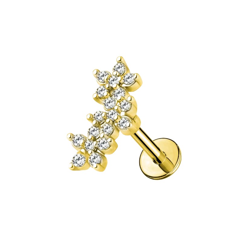 Carter Crystal Labret
