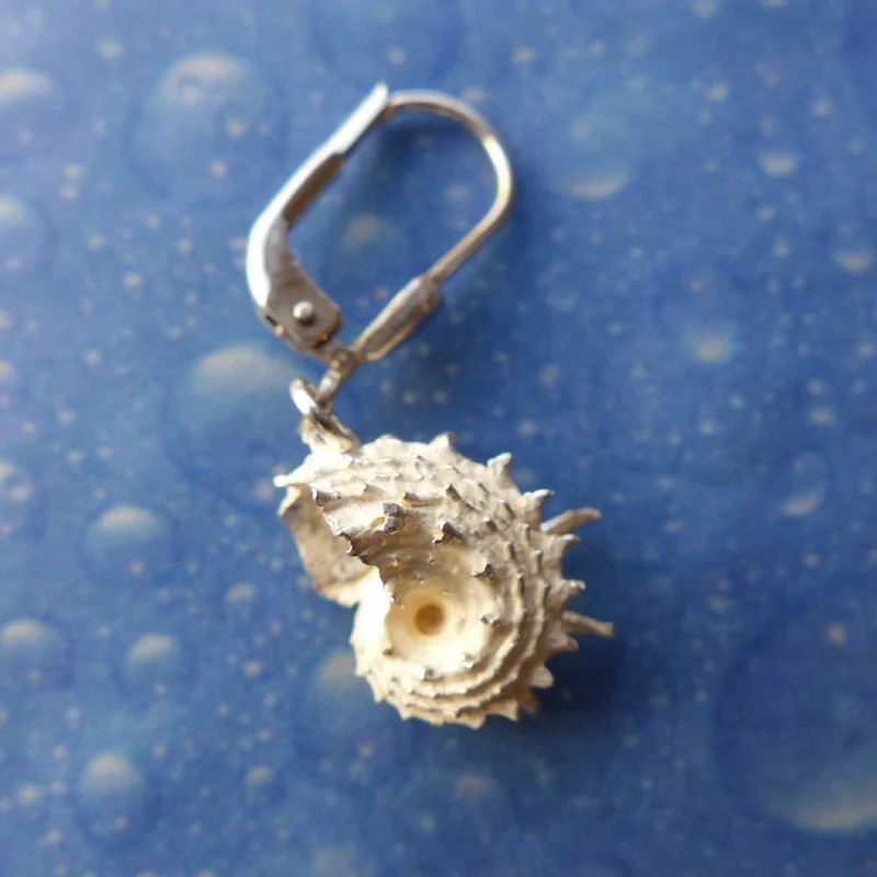 Taucher Schmuck Delfinchen Ohrhänger