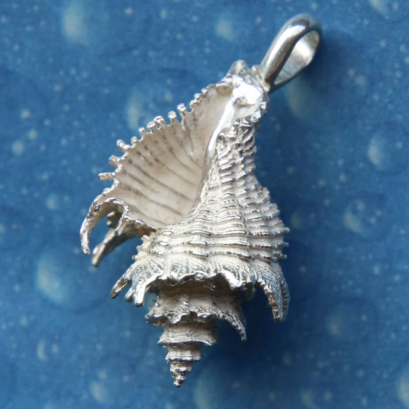 Surfer Schmuck Silber Schneckenkette Latiaxis l
