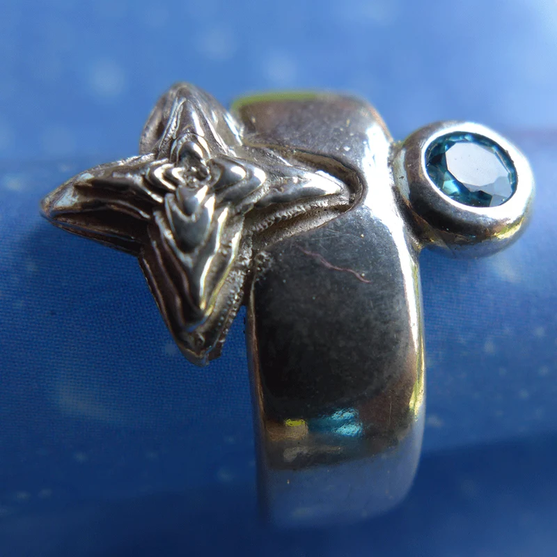 Sukkulente Schmuck Silber Ring