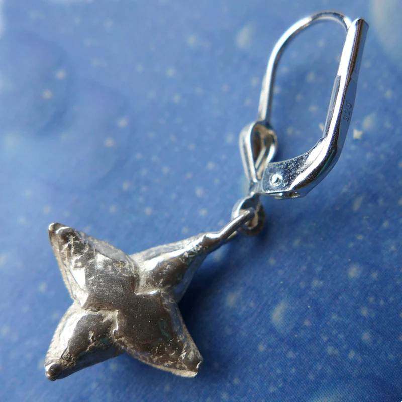 Sukkulente Ohrringe Schmuck Silber