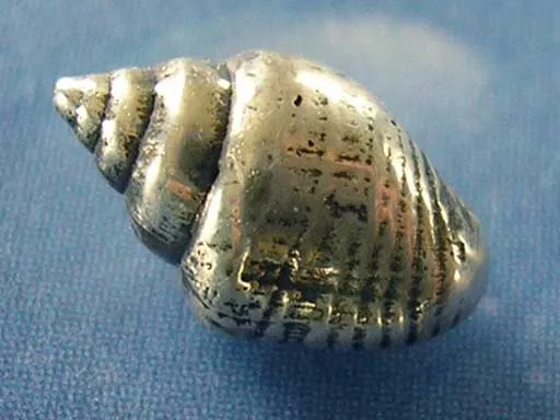 Strombustäubchen small Ohrstecker