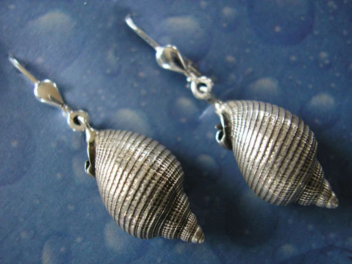 Strandschmuck Ohrhänger Helmschnecke