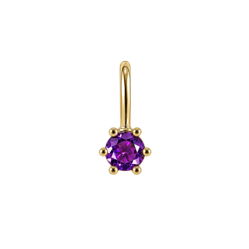 Februar Amethyst Geburtsstein-Anhänger