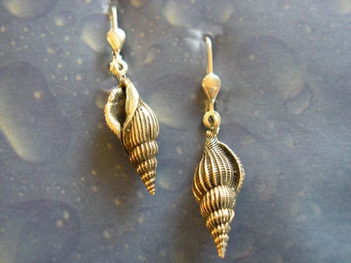 Strandgut Schmuck Ohrringe Schnabelschnecke xs