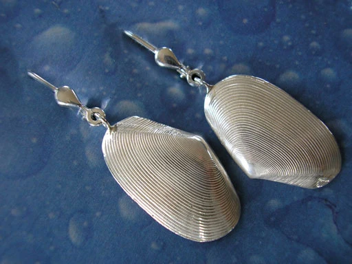 Strandgut Ohrringe Tell Muschel