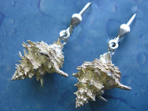 Strandgut Ohrringe Stachel Schnecke r
