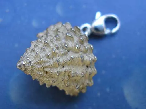 Strand Schnecke Silber Charm s