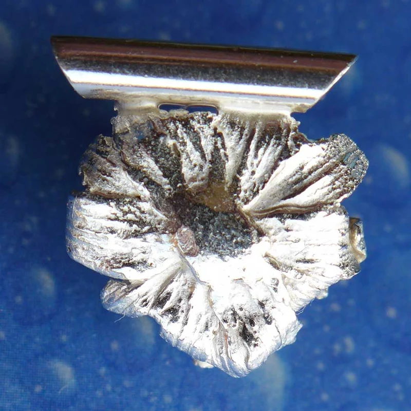Skabiose Blüte Silber Teufelsabbiss Anhänger