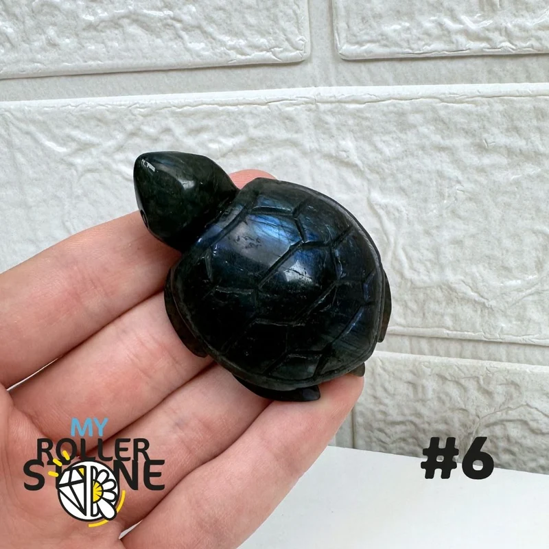 Schildkröte in Labradorit