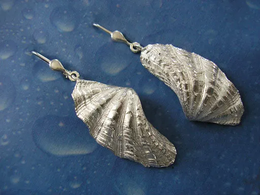 Strand Schmuck Mörder Muschel Ohrhänger m
