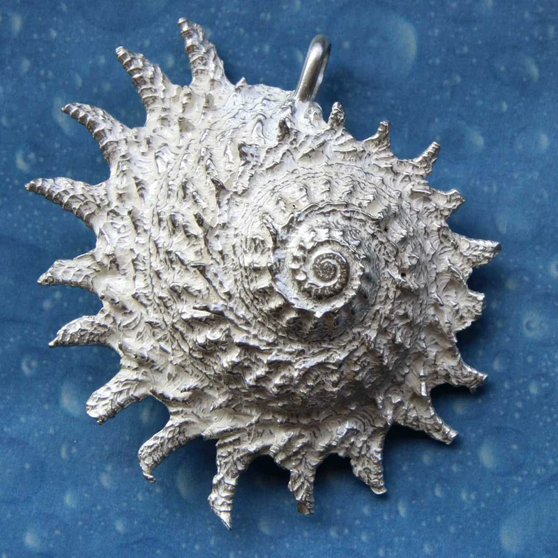 Stern Schnecke Kette Silberschmuck