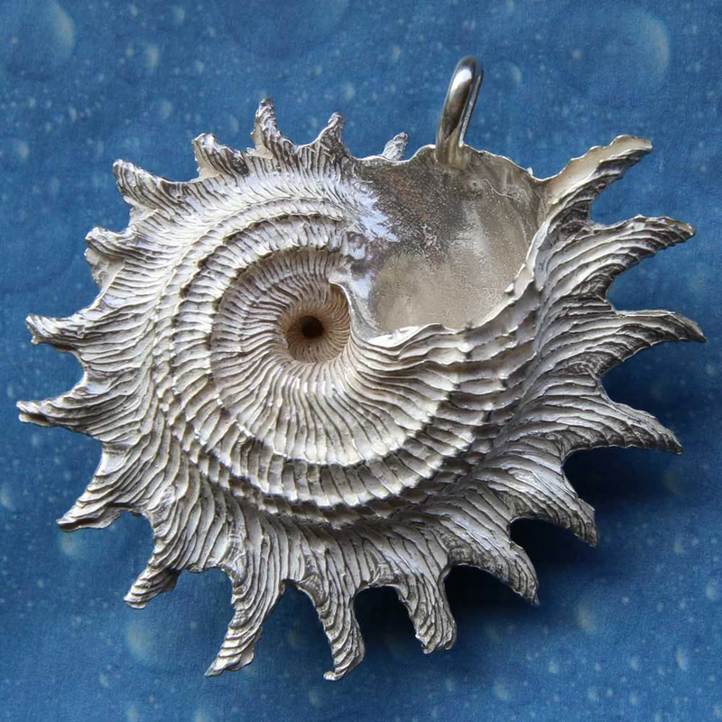 Stern Schnecke Kette Silberschmuck