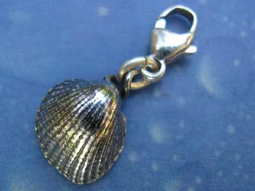 Stachelige Herzmuschel xs Charms mit Karabiner