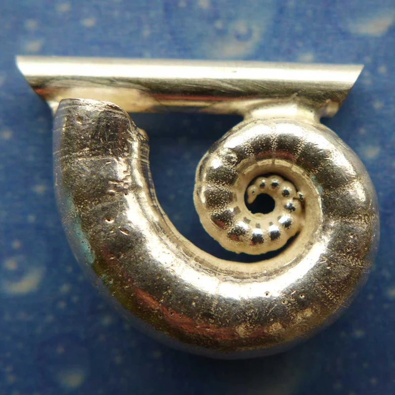Spirula Anhänger Schmuck Silber l