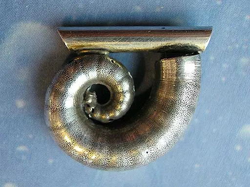 Spirula Anhänger Schmuck Silber l