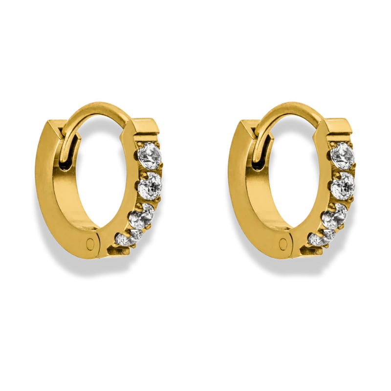 Mini Pave Huggie Hoop Ohrringe - Titan