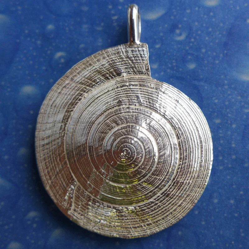 Sonnenuhrschnecke Silber Anhänger xxl