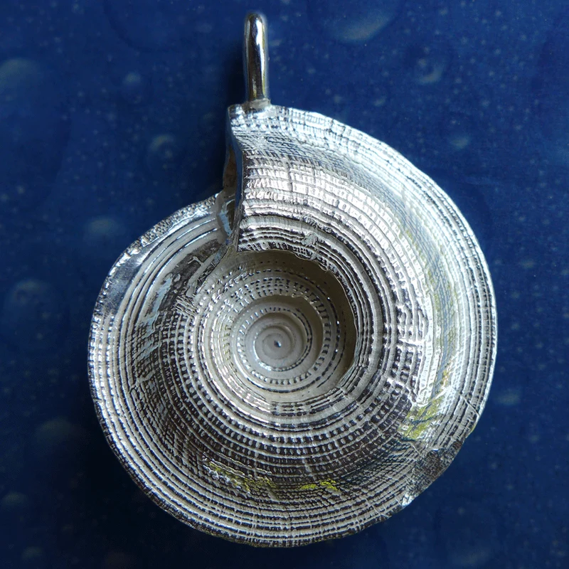 Sonnenuhrschnecke Silber Anhänger xxl
