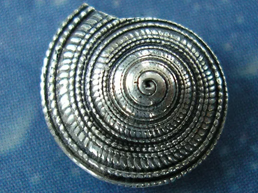 Sonne Strand Meer Schmuck Sonnenuhrschnecke