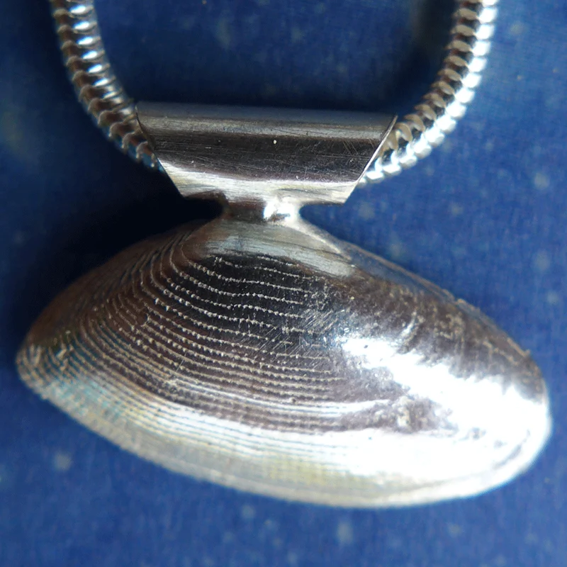 Sommertrend Muschel Schmuck Sägezahn A s