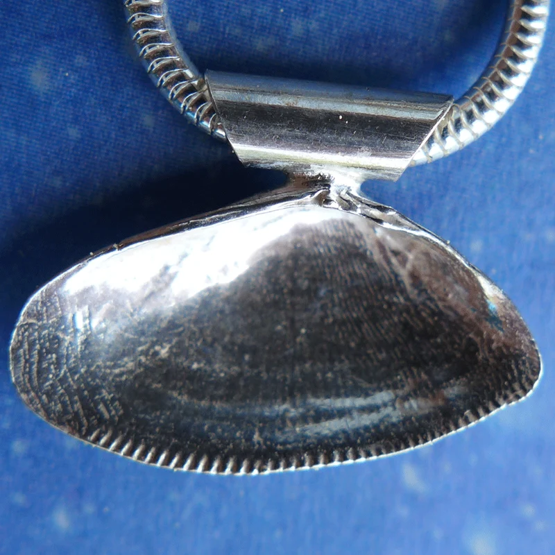 Sommertrend Muschel Schmuck Sägezahn A s