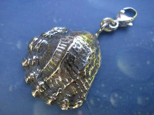 Gewellte Muschel Charms mit Karabiner