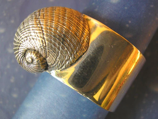 Gestreifte Mondschnecke Ring Taucherschmuck