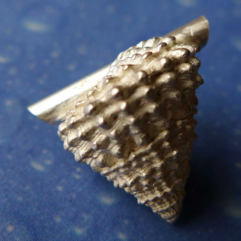 Gekrönte Strand Schnecke medium Anhänger