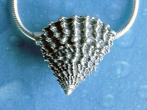 Gekrönte Strand Schnecke medium Anhänger